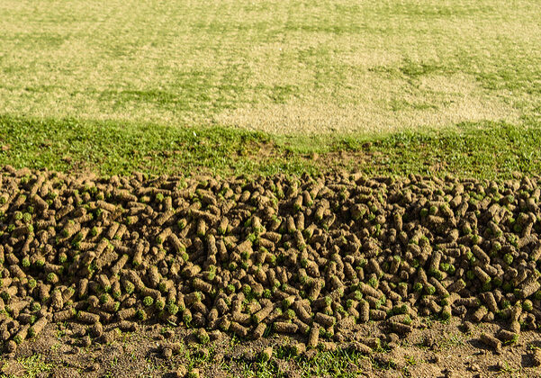 A pile of cores from the aeration process on the side of a green