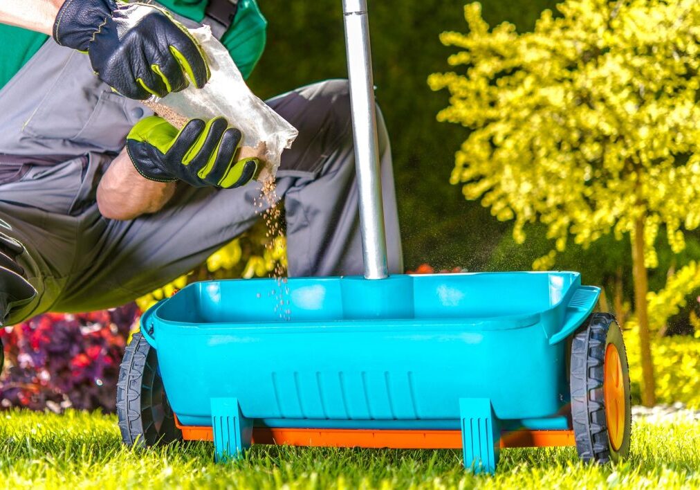 Lawn Spring Fertilization. Caucasian Gardener Resupply His Fertilization Tool. Fertilize Turf in Late Spring